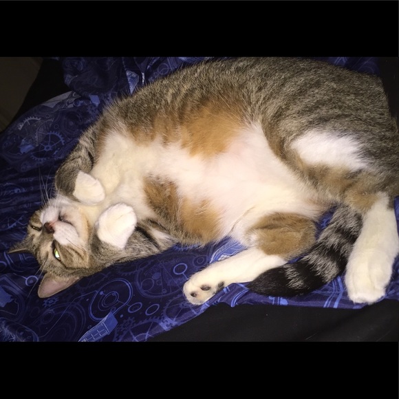 Meet your Posher, Ashlyn - Picture 4 of 10